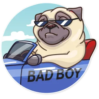 😎 BAD BOY cachorro, pug, óculos de sol, dirigindo, carro, bad boy, desenho animado telegram sticker