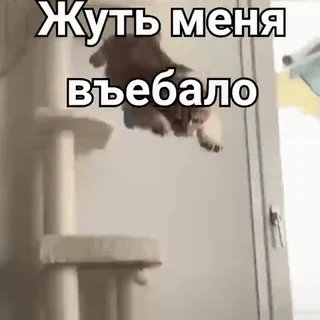 @Macrum [Деловой набор💊] telegram stickers