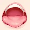 👅