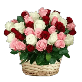 🌹 flowers, roses, bouquet, basket, floral, gift, arrangement whatsapp sticker