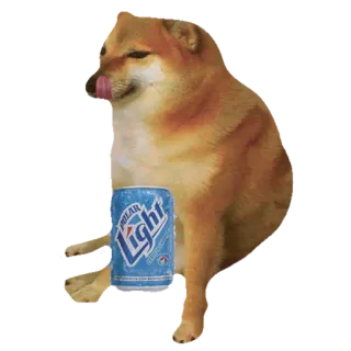 🍺 Polar Light หมา, Cheems, แสงเหนือ, เบียร์, มีม whatsapp sticker