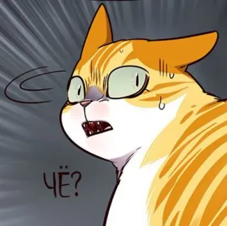 🐈 ЧЁ? gato, dibujos animados, impactado, confundido, meme telegram sticker