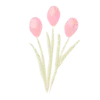 🩷