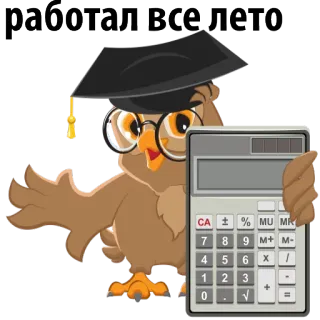😕 работал все лето coruja, calculadora, chapéu de formatura, verão, trabalhei o verão todo whatsapp sticker