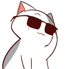 😸 แมว, แว่นกันแดด, เท่, การ์ตูน, สัตว์, แว่นตา whatsapp sticker