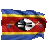 🇸🇿