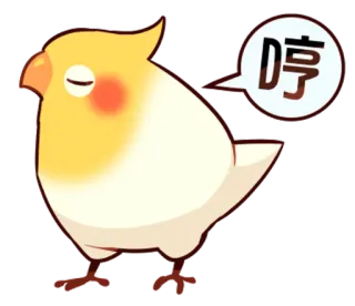 😠 停 oiseau, cockatiel, stop, dessin animé, mignon, animal whatsapp sticker