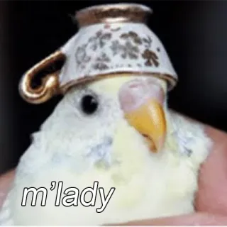 😉 m'lady oiseau, tasse à thé, madame, mignon, drôle, animal telegram sticker