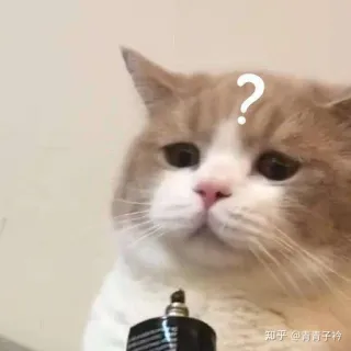 ❓ kucing, tanda tanya, bingung, meme, lucu, hewan peliharaan, imut telegram sticker