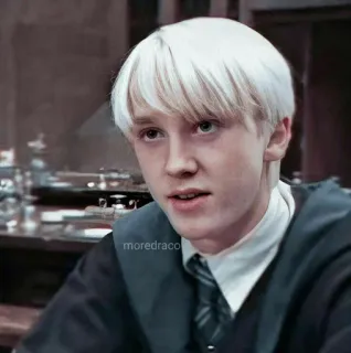 🐍 Draco Malfoy Harry Potter draco malfoy, harry potter, mago, slytherin, adolescente telegram sticker