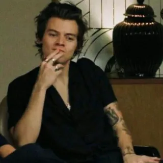 🤔 Harry Styles celebrity, singer, harry styles, man, portrait telegram sticker