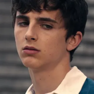 🙄 Timothée Chalamet актер, портрет, знаменитость, мужчина, человек whatsapp sticker