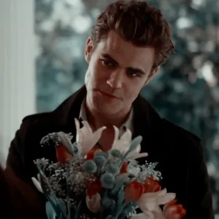 💐 Stefan Salvatore The Vampire Diaries 뱀파이어, 꽃, 로맨스, 초자연, 드라마, TV 프로그램 telegram sticker