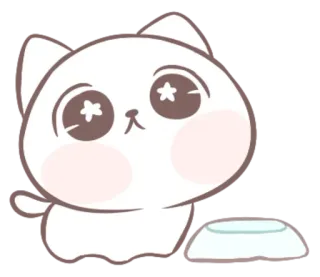 🤩 แมว, น่ารัก, สัตว์, คาวาอิ telegram sticker
