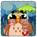 ☔ 卡通, 鸟, 雨, 伞, 可爱, 悲伤, 天气 telegram sticker