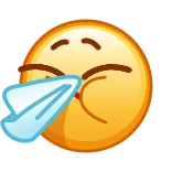 🤧