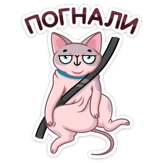 🚘 ПОГНАЛИ cat, sphynx cat, sticker, cartoon, Russian, driving telegram sticker