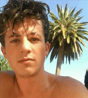 💙 Charlie Puth Mann, Sänger, Charlie Puth, Porträt, Promi, männlich, Person telegram sticker