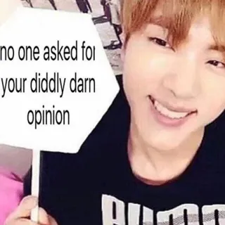 🙅‍♀ no one asked for your diddly darn opinion Mème, Humour, Opinion, Diantre, Drôle, Sarcasme telegram sticker