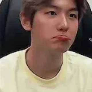 🍯 Бэкхён, K-Pop, певец, смешное лицо, милый, мем telegram sticker