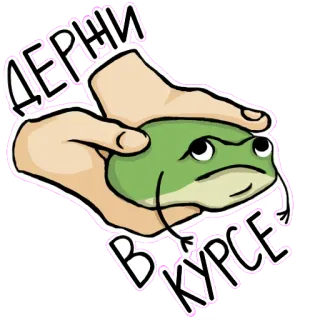 😕 ДЕРЖИ В КУРСЕ กบ, มีม, ตลก, อินเทอร์เน็ต, น่ารัก, สัตว์ telegram sticker