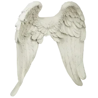 🪽 wings, angel, feathers, white, ethereal, bird, heavenly, fantasy telegram sticker
