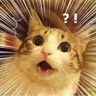 ⁉️ ?! gatto, sorpresa, domanda, esclamazione, shock, confusione, meme, divertente telegram sticker