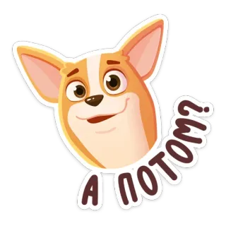😧 А потом? cachorro, corgi, pergunta, russo, desenho animado whatsapp sticker