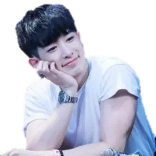 ☺️ kpop, เพลงเกาหลี, นักร้อง, ผู้ชาย, ไอดอล, วอนโฮ, น่ารัก telegram sticker