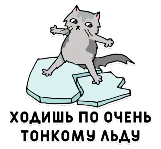 🥶 ХОДИШЬ ПО ОЧЕНЬ ТОНКОМУ ЛЬДУ cat, ice, thin ice, cartoon whatsapp sticker
