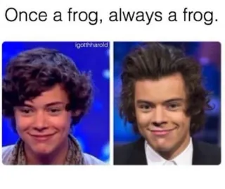 🐸 Harry Styles Once a frog, always a frog. celebrity, meme, funny, singer, One Direction, pop star telegram sticker