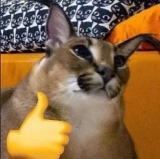 👍 Floppa floppa, caracal, cat, thumbs up, meme, animal telegram sticker