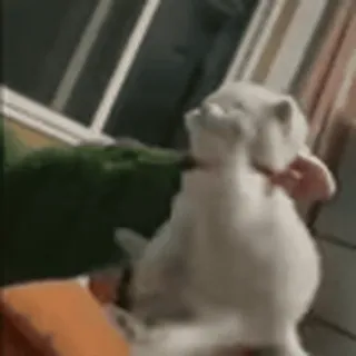😡
