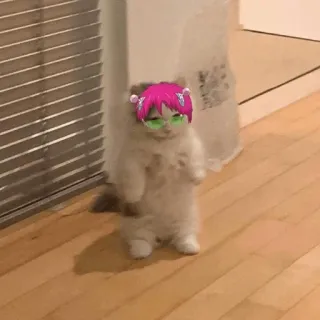 Standing Cat Anime @Icarusfalls telegram stickers