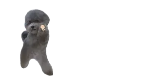 ✌️ cão, dedo do meio, ofensivo telegram sticker