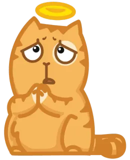 😇 cat, halo, angel, prayer, cute telegram sticker
