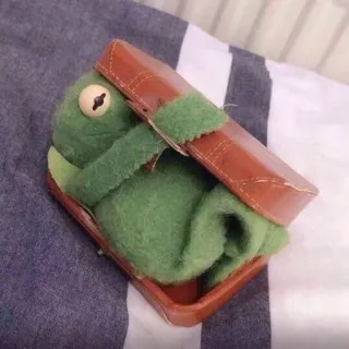 😶 Kermit 科米蛙, 布偶, 行李箱, 绿色, 玩具 telegram sticker