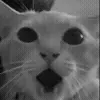 😧