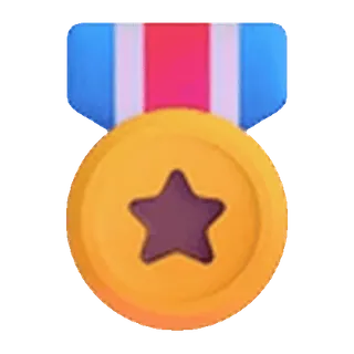🎖️