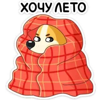🥎 ХОЧУ ЛЕТО cão, verão, cobertor, frio, fofo, desenho animado telegram sticker