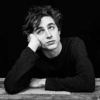 🙄 Timothée Chalamet ator, homem, retrato, celebridade, preto e branco telegram sticker