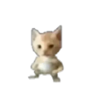 🌟 kucing, meme, menari, hewan, lucu whatsapp sticker