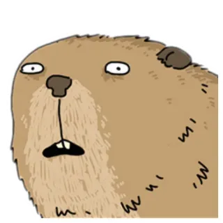 😦 castor, desenho animado, animal, roedor, engraçado, fofo, adesivo telegram sticker