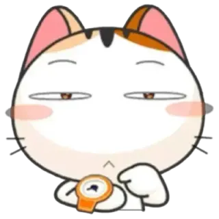 ⏰ แมว, สัตว์, รอ, ดู, ความอดทน, สีหน้า, น่ารัก telegram sticker