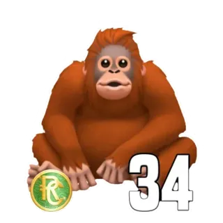 🐒 34 Orangután, Número 34, Mono, Animal, Simio telegram sticker