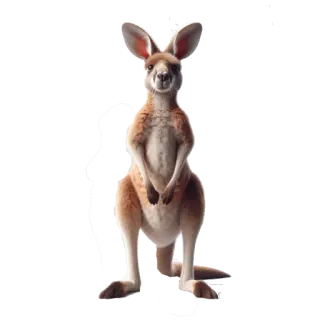 Neiro Animals @a_lot_of_facts telegram stickers