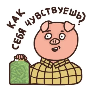 Alkosvin @stickersb2b telegram stickers