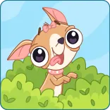🤪 Chihuahua, Hund, Tier, Süß, Haustier, Cartoon whatsapp sticker