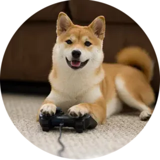 🎮 犬, 柴犬, ゲーム, コントローラー, ペット, 動物, かわいい, 遊ぶ telegram sticker