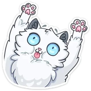 😱 cat, kitten, cute, playful, animal, funny, happy telegram sticker
